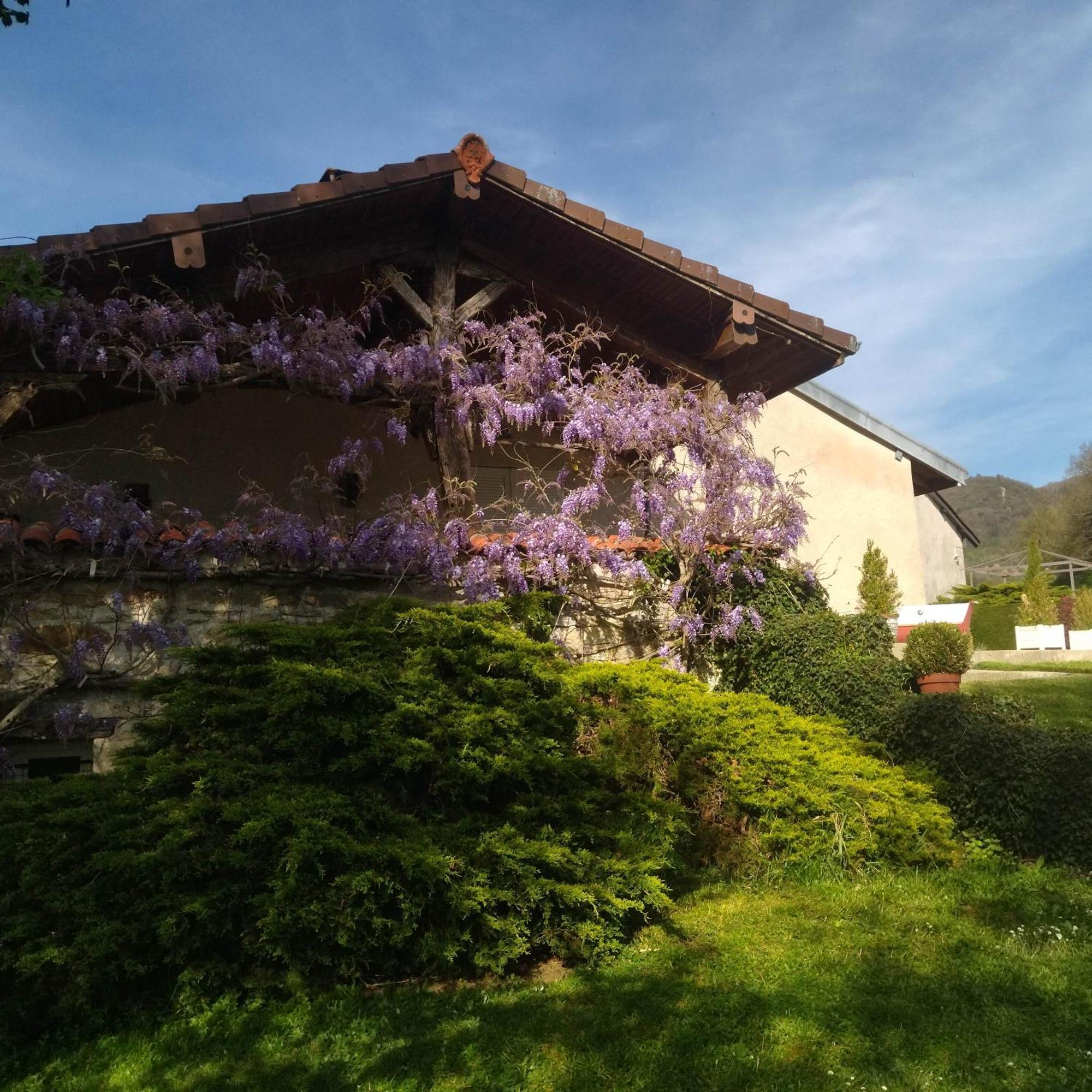 Gite De L'Ancheronne 12 Couchages Spa Lavans-sur-Valouse Exterior photo